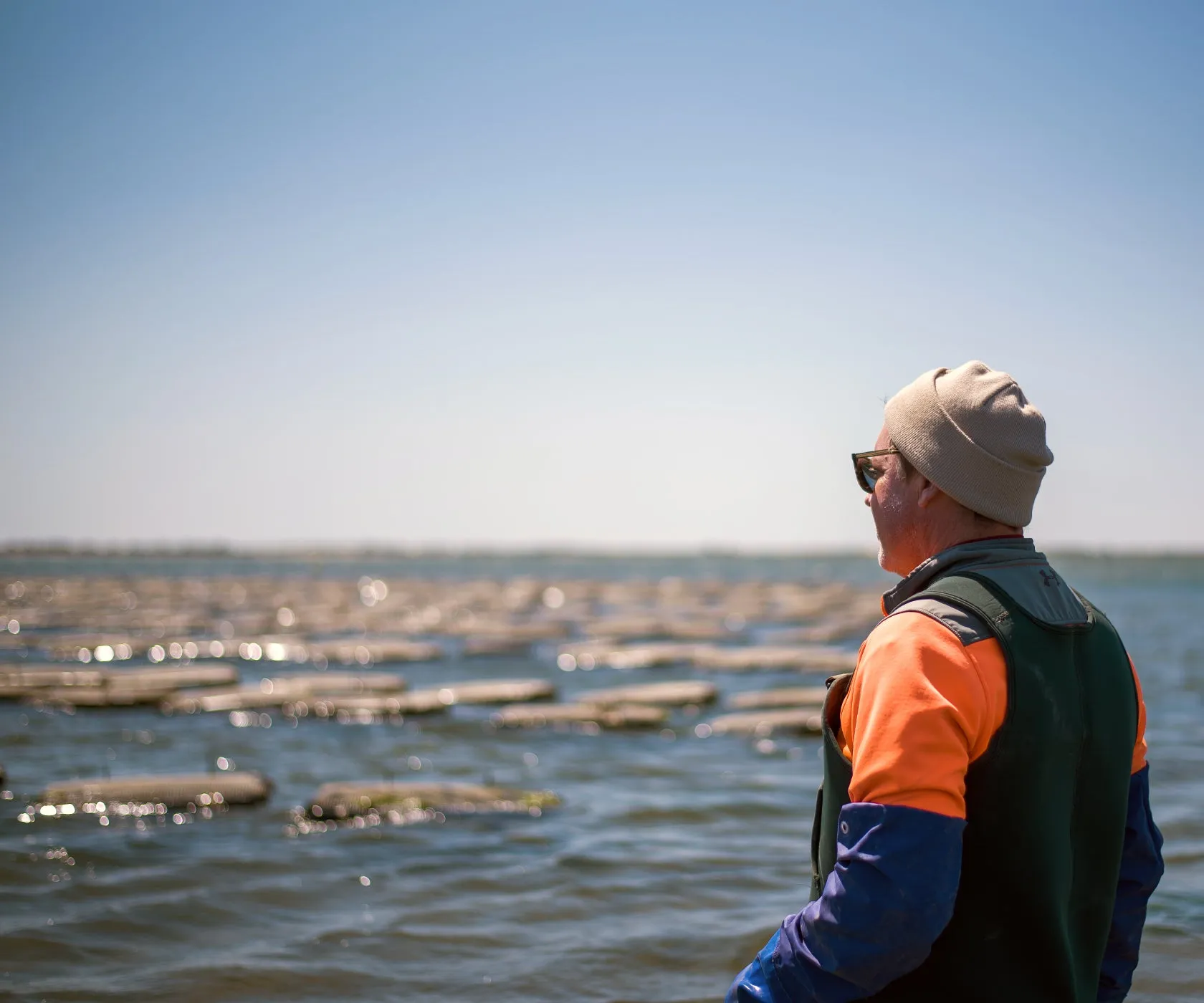 Great Gun Oysters from East Moriches, NY