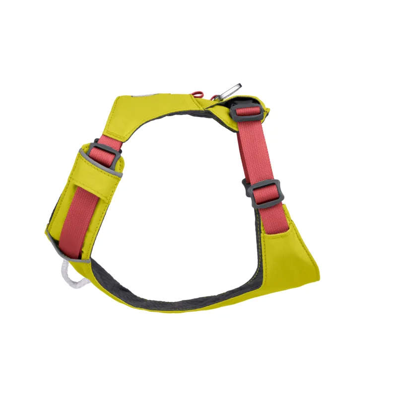 Ruffwear Hi & Light Dog Harness - Lichen Green